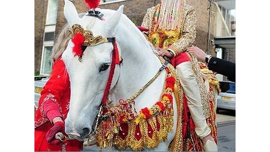 Ghodi For Wedding